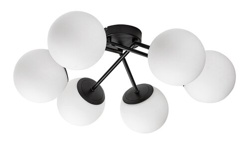 Meduza (71294)