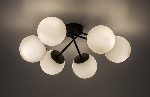 Meduza (71294)