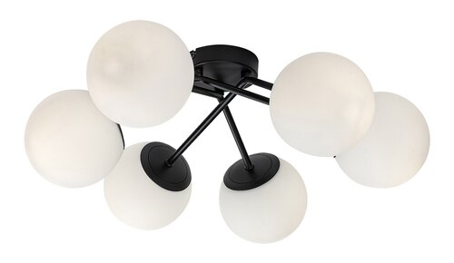 Meduza (71294)