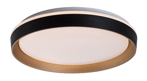 Ladan (71308)