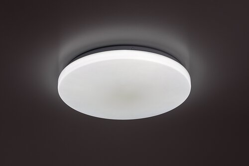 Danny2 (71442)