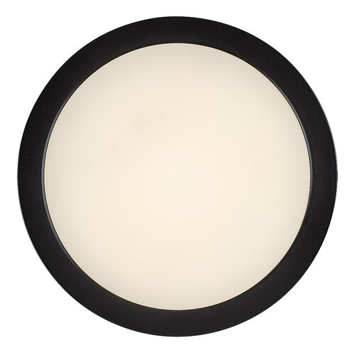 Shaun Plus (75075)
